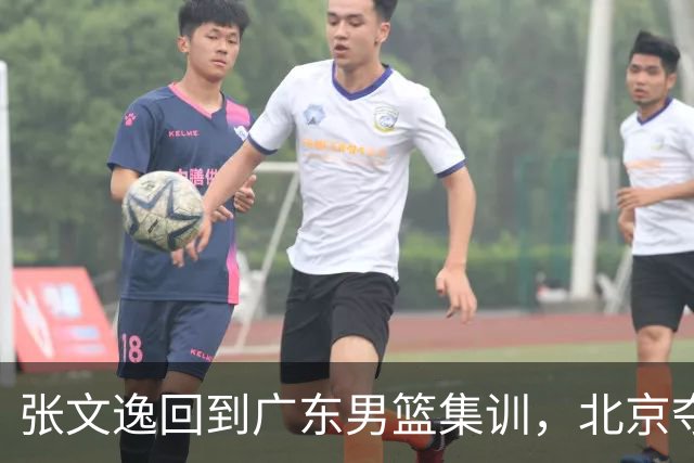 张文逸回到广东男篮集训，北京夺冠功勋确定退役，上海欲续约弗格